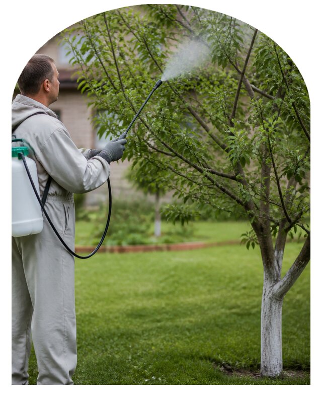 Обработка деревьев от вредителей в Советской Гавани от 5714 р. | Метпроект-Свс